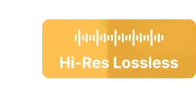 lossless quality