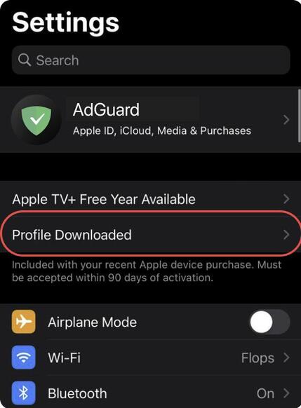 AdGuard DNS Settings