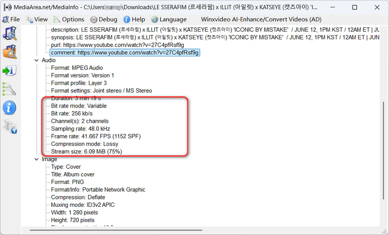 MediaInfo showing 256kbps VBR output after selecting 320kbps in CNVMP3