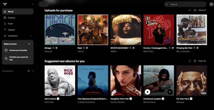 TIDAL interface - Hi-Res Spotify alternative