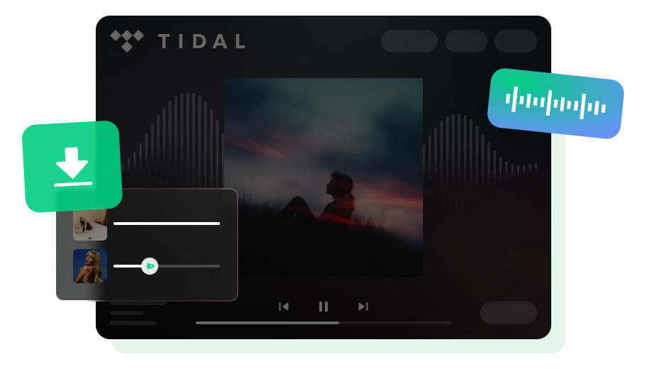 Tidal Music Converter software interface screenshot