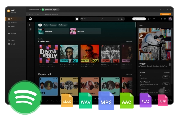 spotify downloader