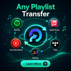 playlist transfer