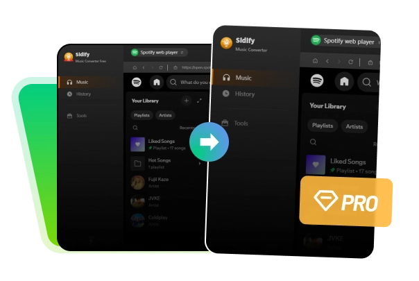 download everything from spotify