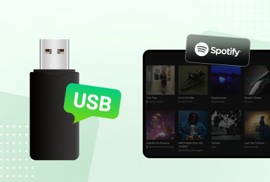 transfer spotify to usb