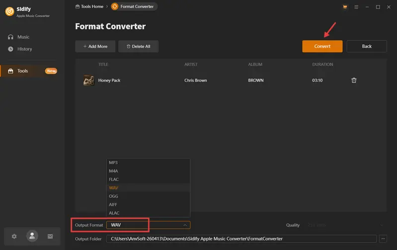 seeting output format as wav