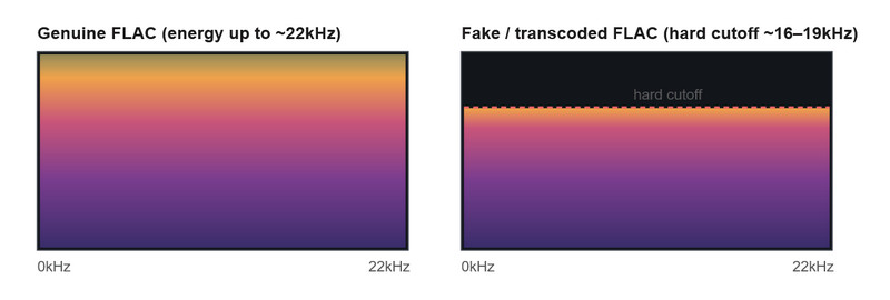 check flac spectrogram