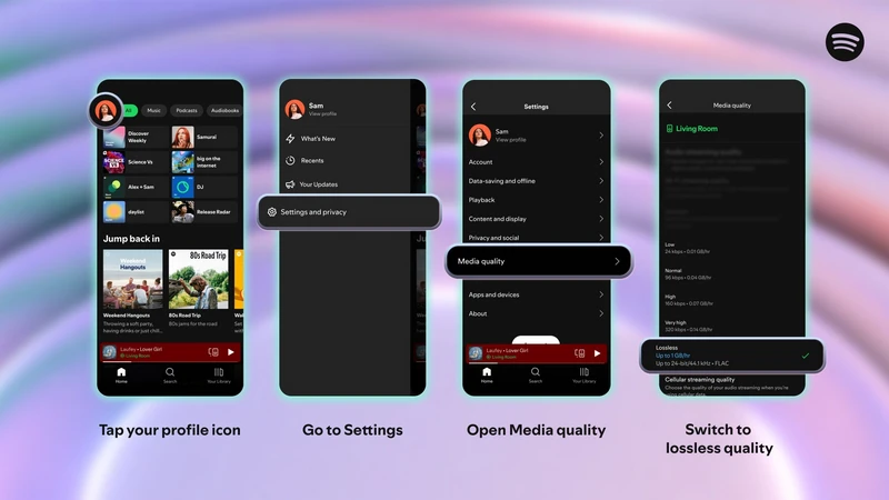 enable spotify lossless streaming settings