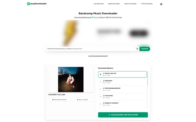 download music from bandcamp for free