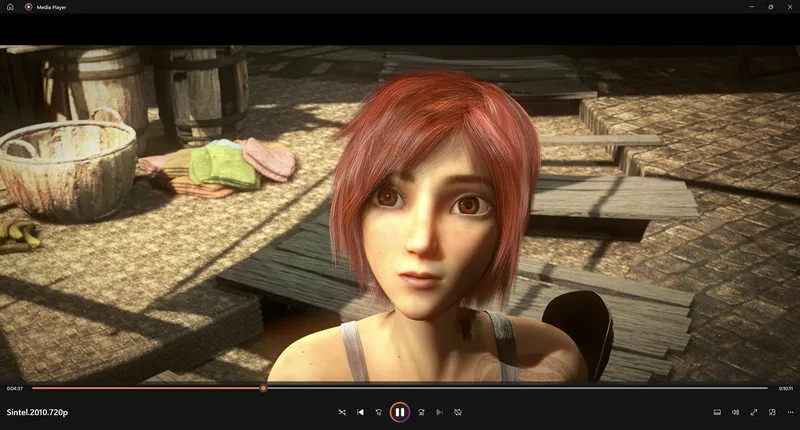 Best Media Player for Windows: Windows Media Player
