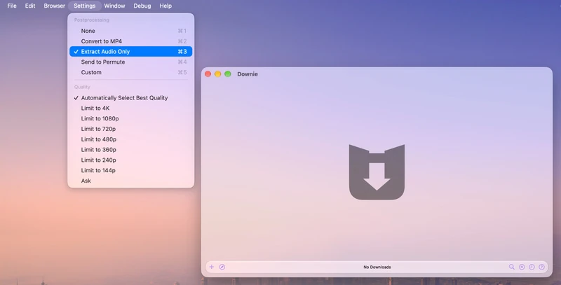Downie settings with Extract Audio Only selected on Mac