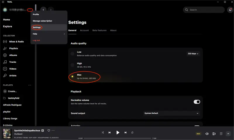 Enable HiRes FLAC audio on Desktop or Web