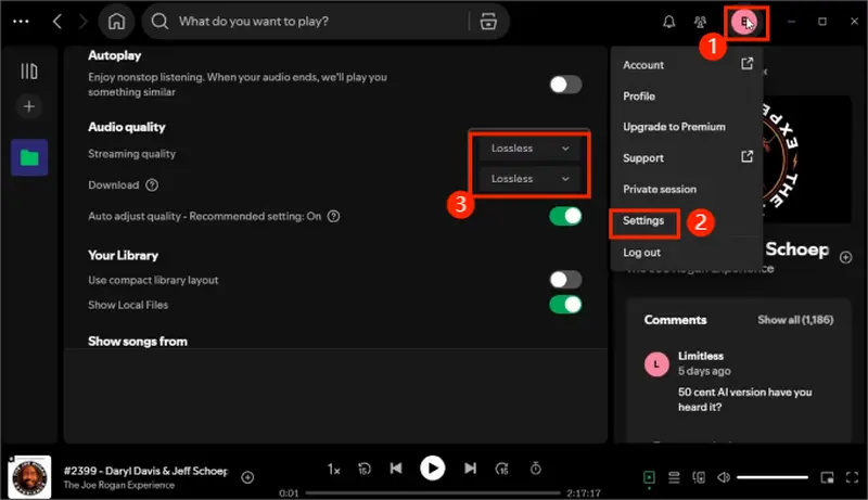 enable spotify lossless streaming settings on computer