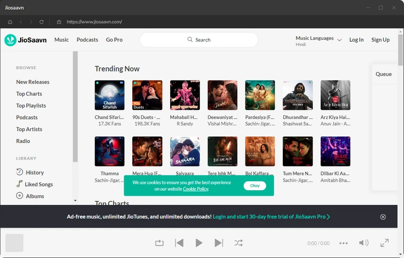 rip mp3 music from jiosaavn