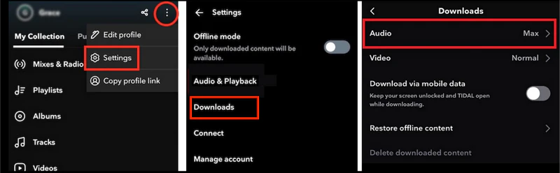 max quality for downloads on tidal