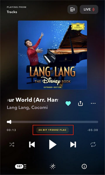 max quality for playback on tidal