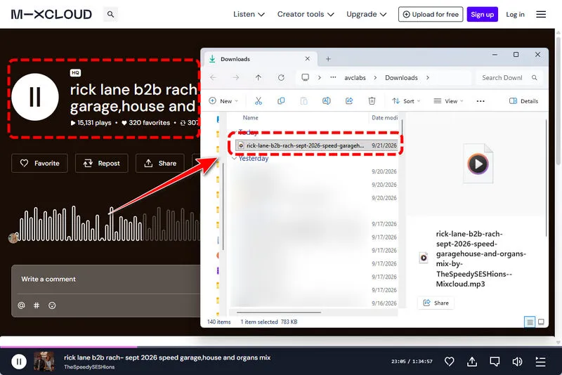 Audio Downloader Prime