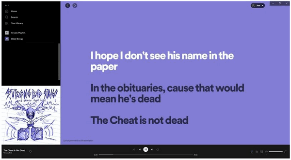 view lyrics on spotify desktop app