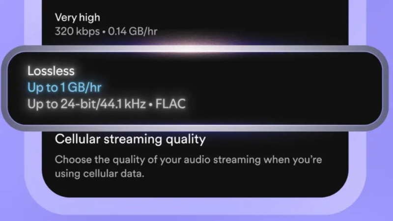 spotify lossless audio