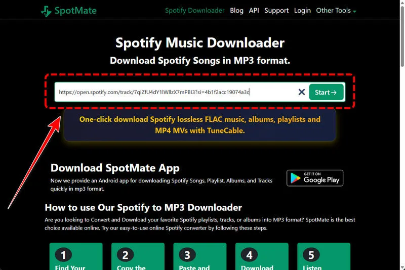 SpotMate Review