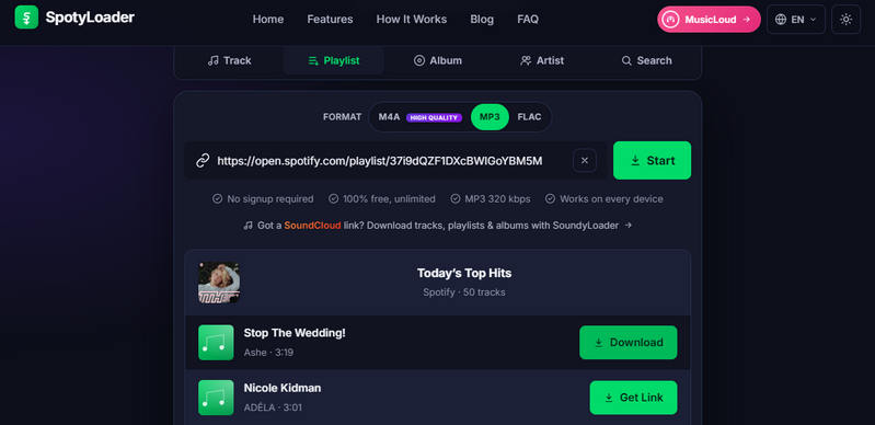 SpotyLoader Spotify playlist track list with individual MP3 download options