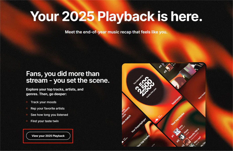 view your 2025 playback