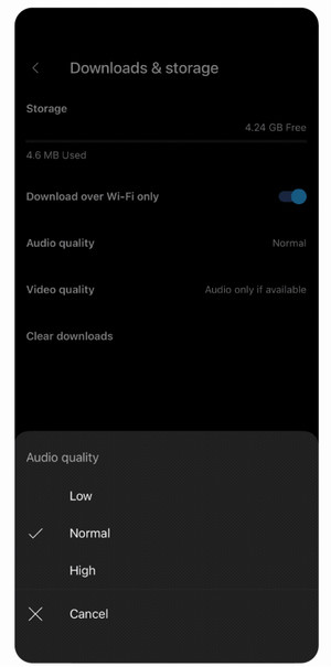 youtube music quality settings