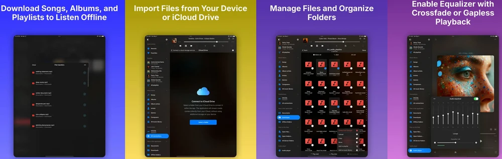 evermusic player for iphone and ipad