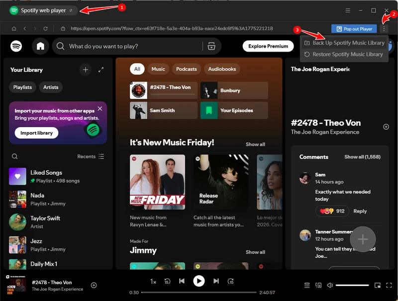 backup up spotify music library