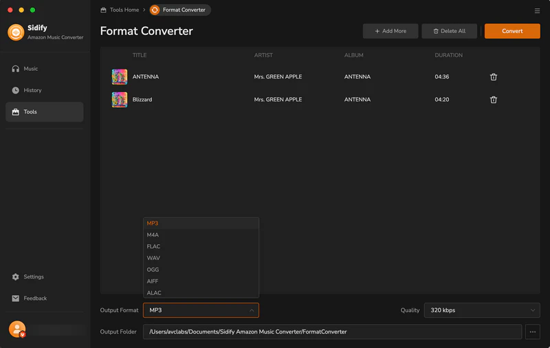 convert local music to different formats