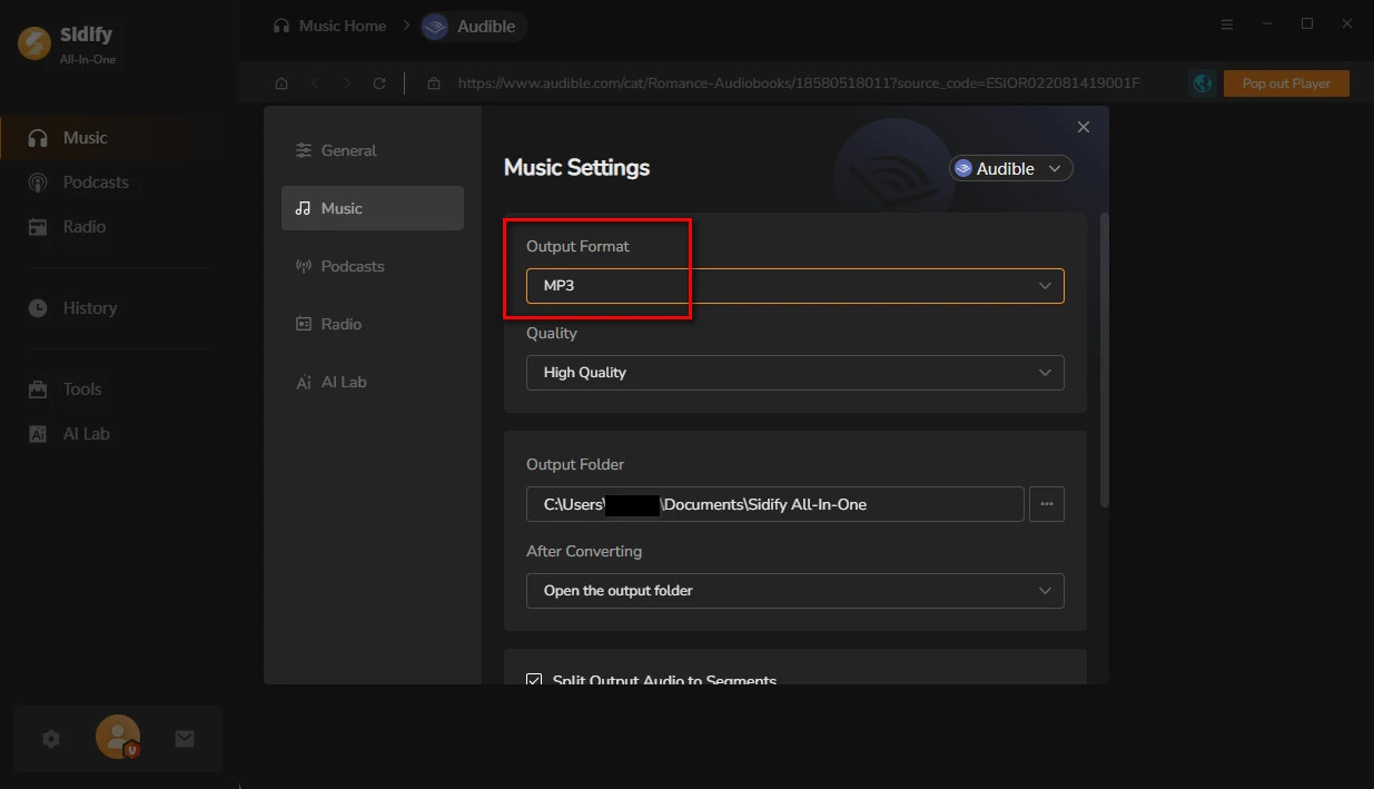 choose mp3 as the output format