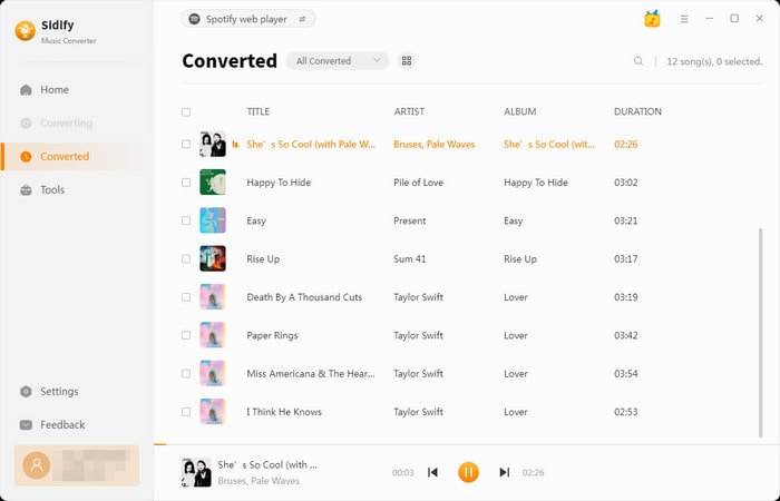 check converted spotify playlists