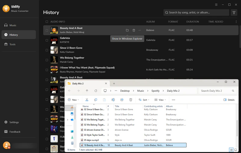 Step 5: Check Downloaded Spotify Files