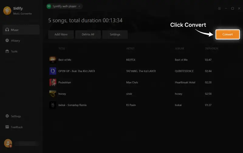 Review selected Spotify songs