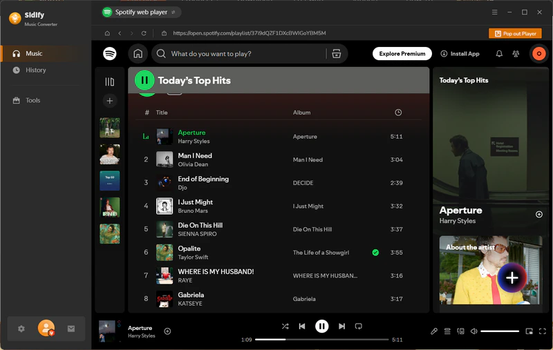 spotify video downloader