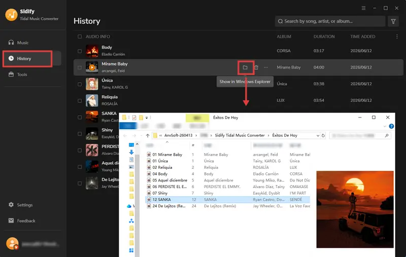 view downloaded tidal music on the pc