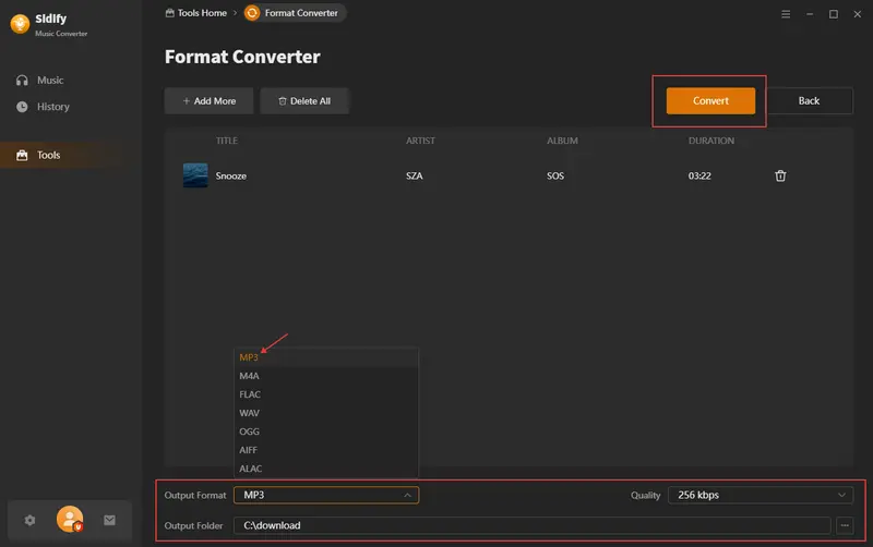 choose MP3 format and output folder