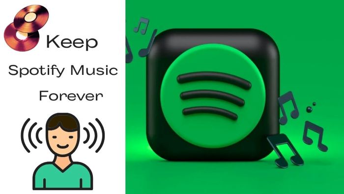 Cancel Spotify Subscription