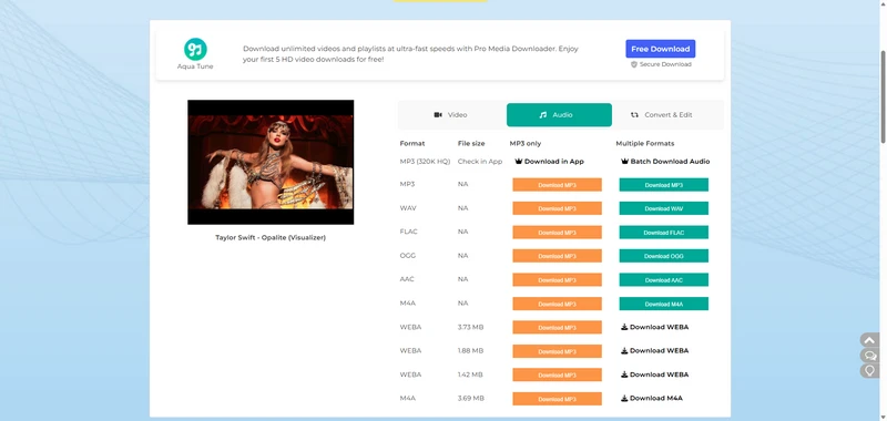 AceThinker download youtube aac music